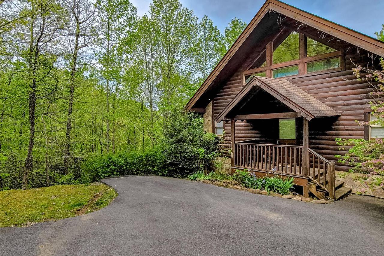 Daa Bear'S Lodge 개틀린버그 외부 사진