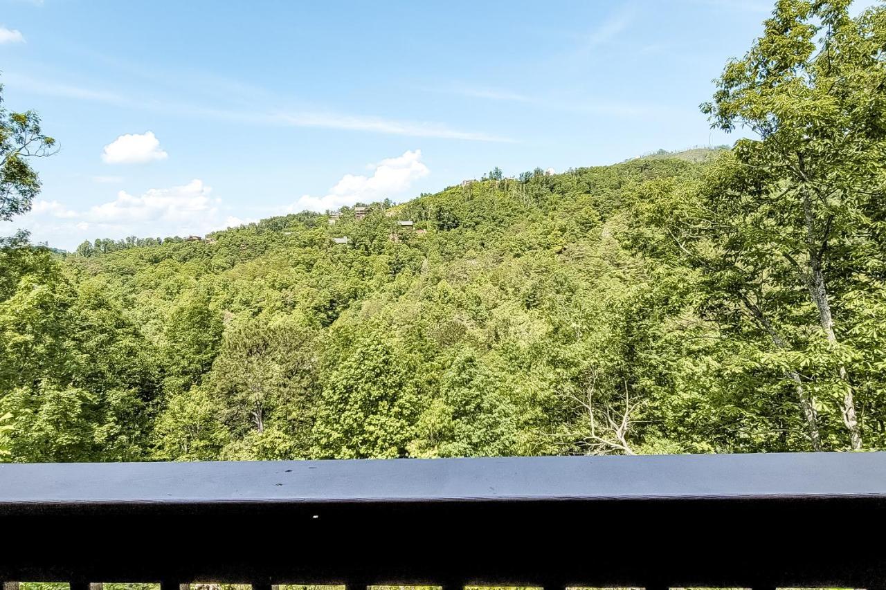 Daa Bear'S Lodge 개틀린버그 외부 사진